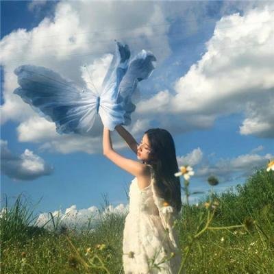 新版绿野仙踪